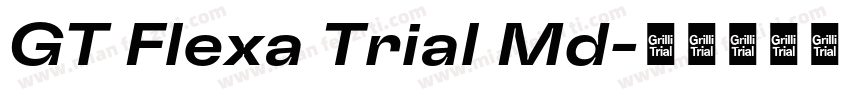 GT Flexa Trial Md字体转换
